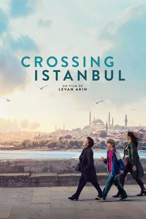Regarder Crossing Istanbul en streaming complet