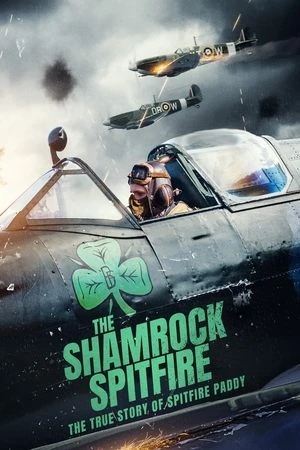 Regarder Feu de brousse à shamrock en streaming complet