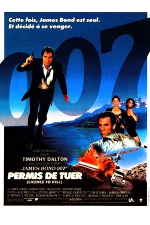 Regarder Permis de tuer en streaming complet
