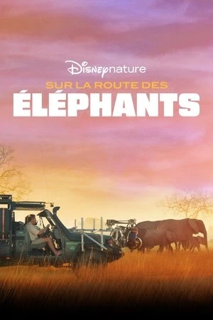 Regarder Sur la route des éléphants en streaming complet
