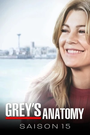  Grey's Anatomy - Saison 15 affiche 