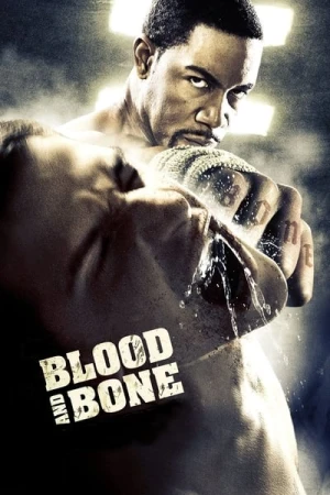 Regarder Blood and Bone en streaming complet