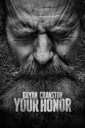 Regarder Your Honor - Saison 2 en streaming complet