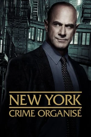  New York : Crime organisé - Saison 4 affiche 