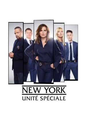  New York Unité Spéciale - Saison 20 affiche 