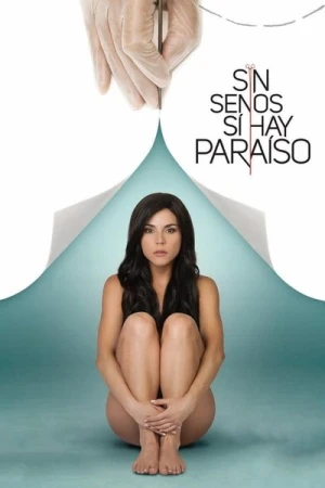  Catalina - Saison 1 affiche 