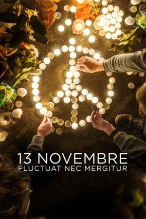  13 novembre : Fluctuat nec mergitur - Saison 1 affiche 