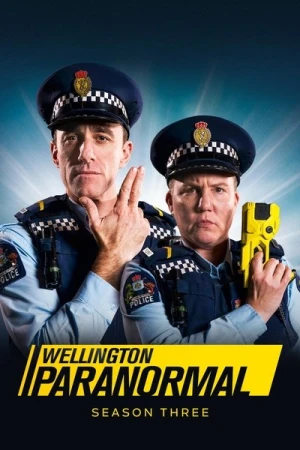  Wellington Paranormal - Saison 3 affiche 