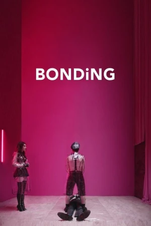  Bonding - Saison 1 affiche 