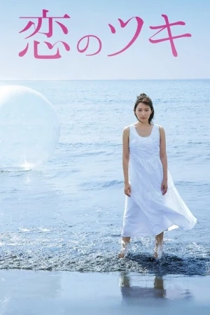 Regarder Love and Fortune - Saison 1 en streaming complet