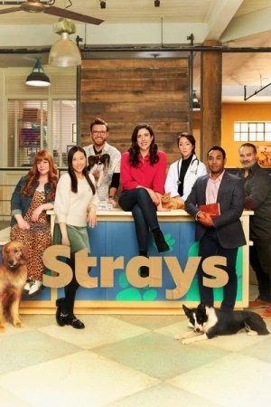  Strays - Saison 1 affiche 