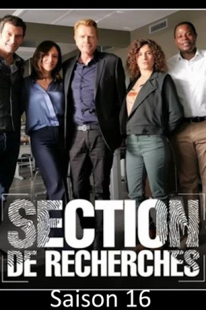  Section de Recherches - Saison 16 affiche 