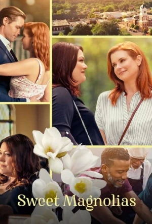  A L'Ombre Des Magnolias - Saison 2 affiche 