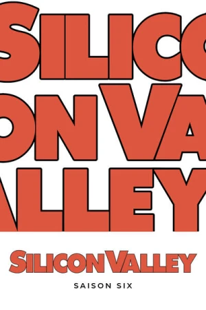  Silicon Valley - Saison 6 affiche 