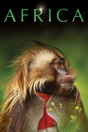  Afrique Sauvage - Saison 1 affiche 