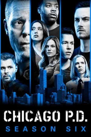  Chicago PD - Saison 6 affiche 