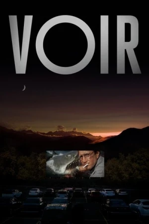  Voir - Saison 1 affiche 