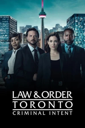  Toronto, section criminelle - Saison 1 affiche 