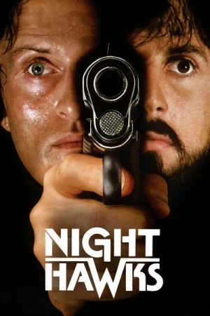 Regarder Les Faucons de la nuit en streaming complet