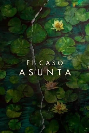  L'Affaire Asunta - Saison 1 affiche 