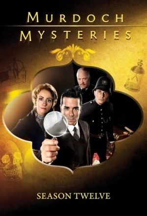  Les Enquêtes de Murdoch - Saison 12 affiche 