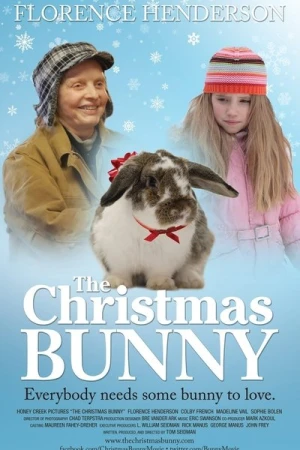 Regarder Le Noël de Julia en streaming complet